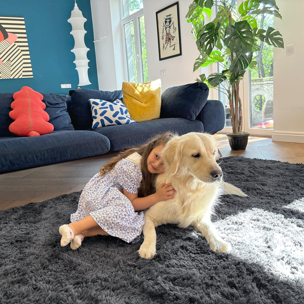 OLANLY Area Rugs for Living Room Bedroom, Machine Washable 4x5.9 ft Soft Fluffy Shaggy Bedside Rug, Indoor Floor Carpet for Kids Girls and Boys, Dorms, Nursery Rooms, Home Decor Aesthetic, Grey